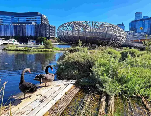 Birrarung-Yarra Floating Wetland Trial Project